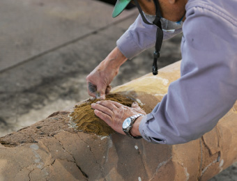 HIGHQUALITY